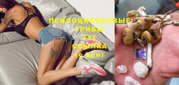 прущая мука Гусиноозёрск