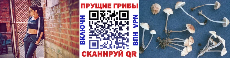 Купить  Качканар  Галлюциногенные грибы мухоморы 
